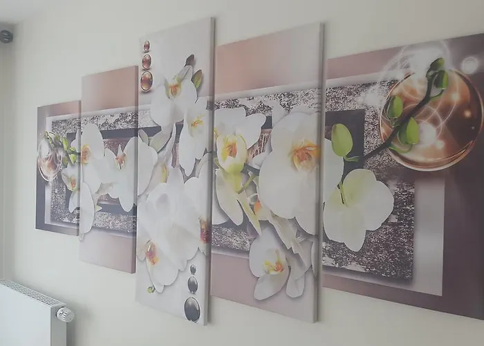 Shs Sweet Aparthotel Luxemburg